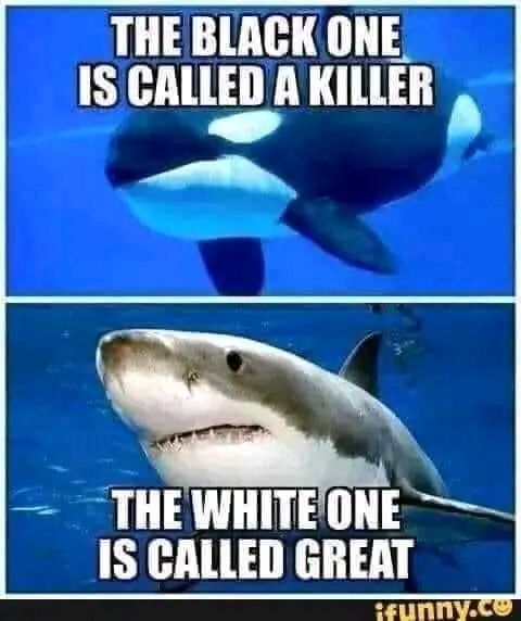 1000001720.jpg