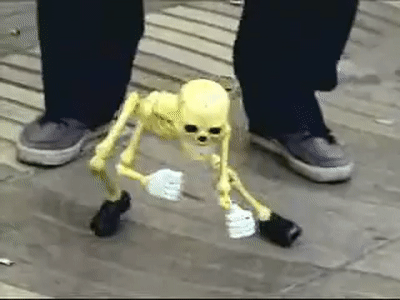 1000004686.gif