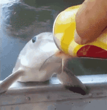 1000008630.gif