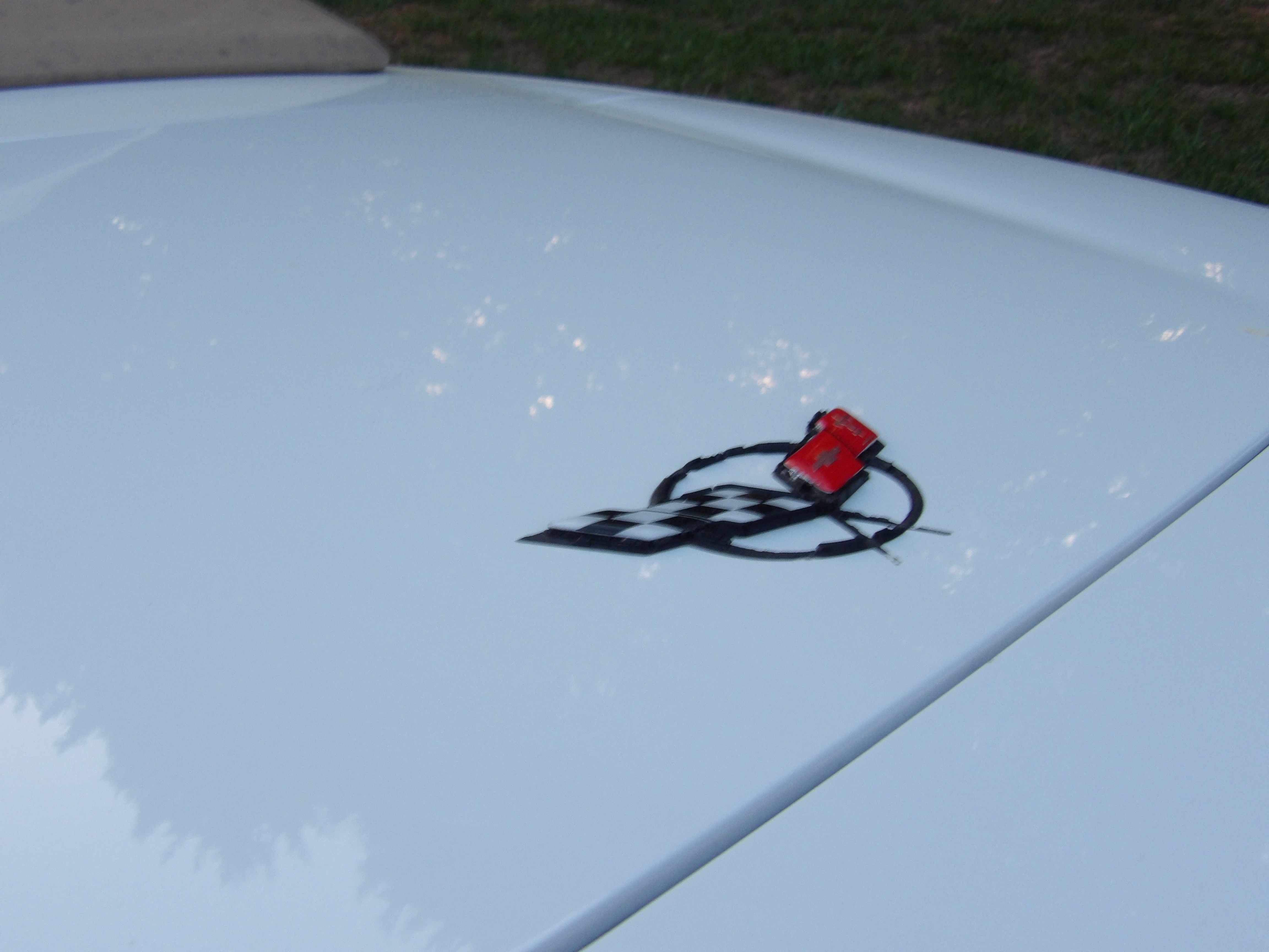 100_0111.JPG