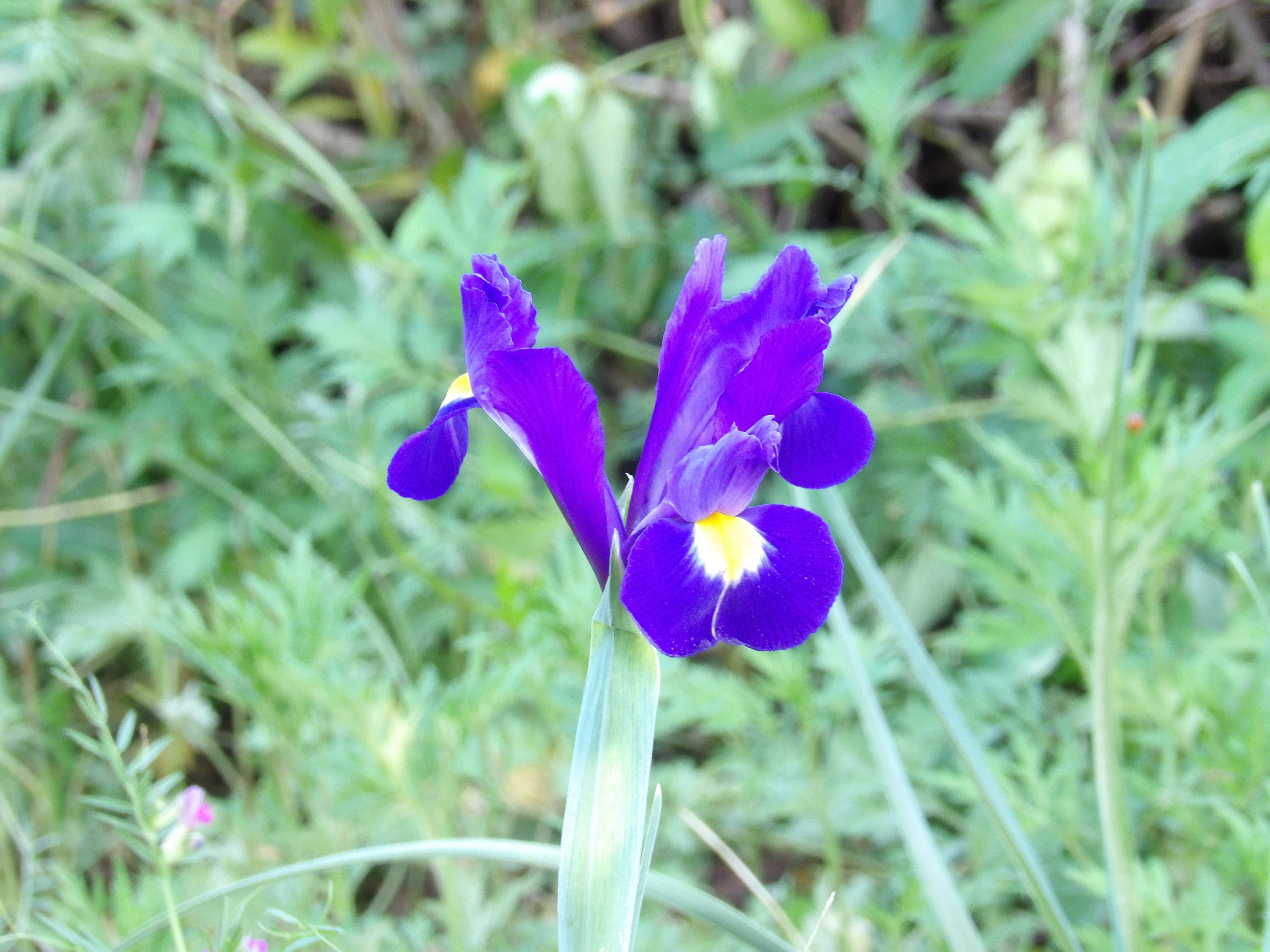 100_0147.JPG