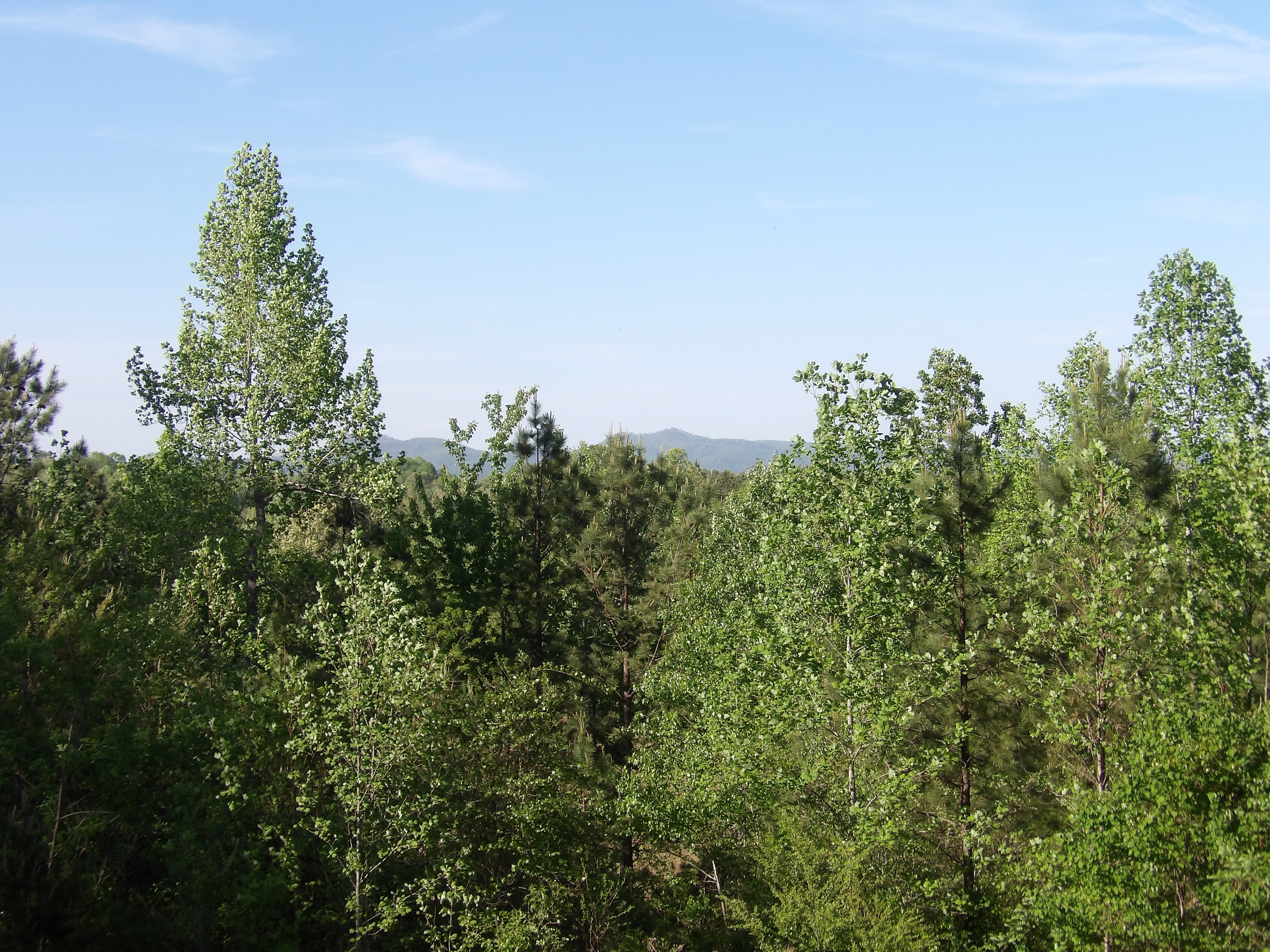 100_0165.JPG