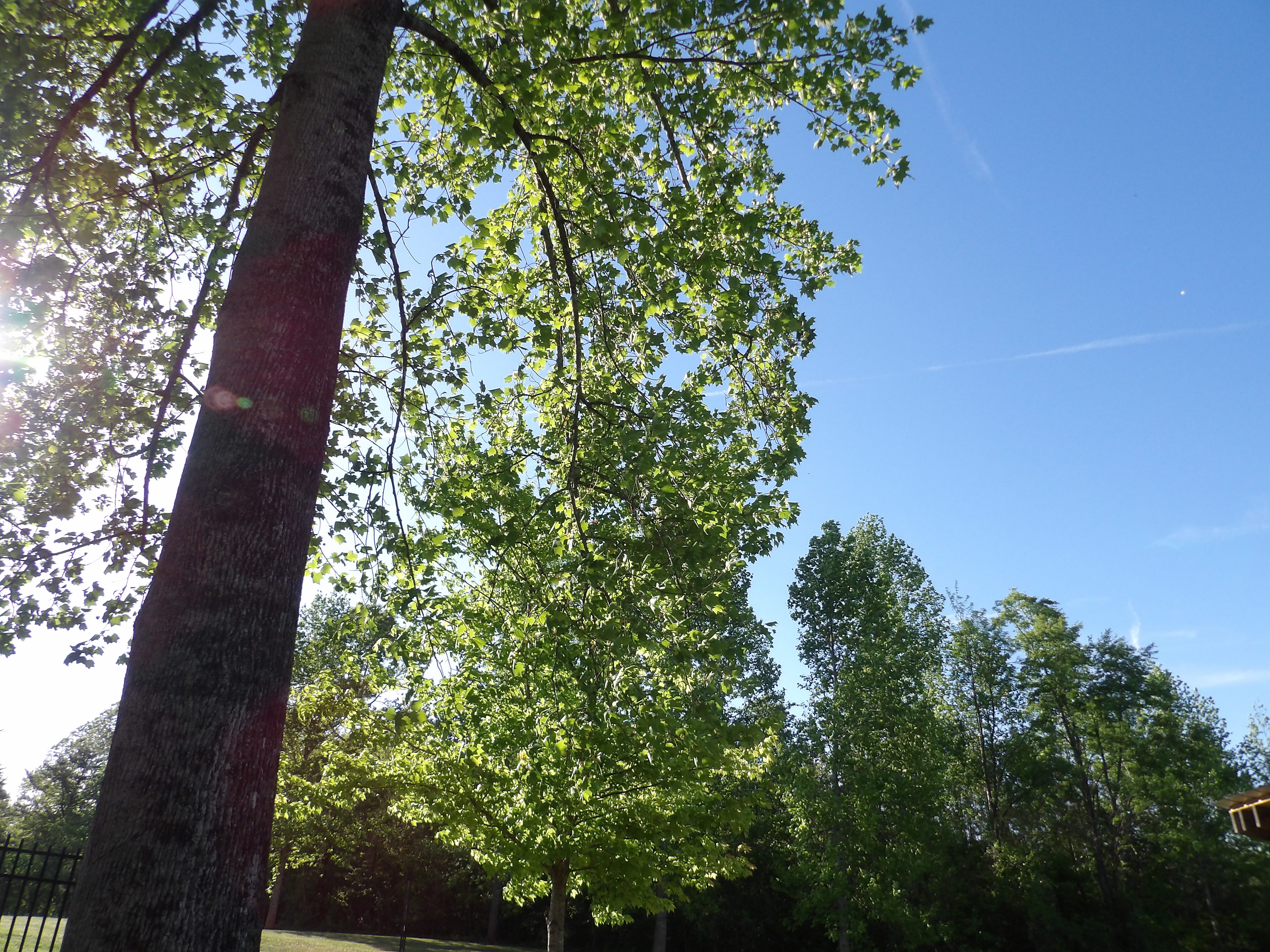 100_0166.JPG
