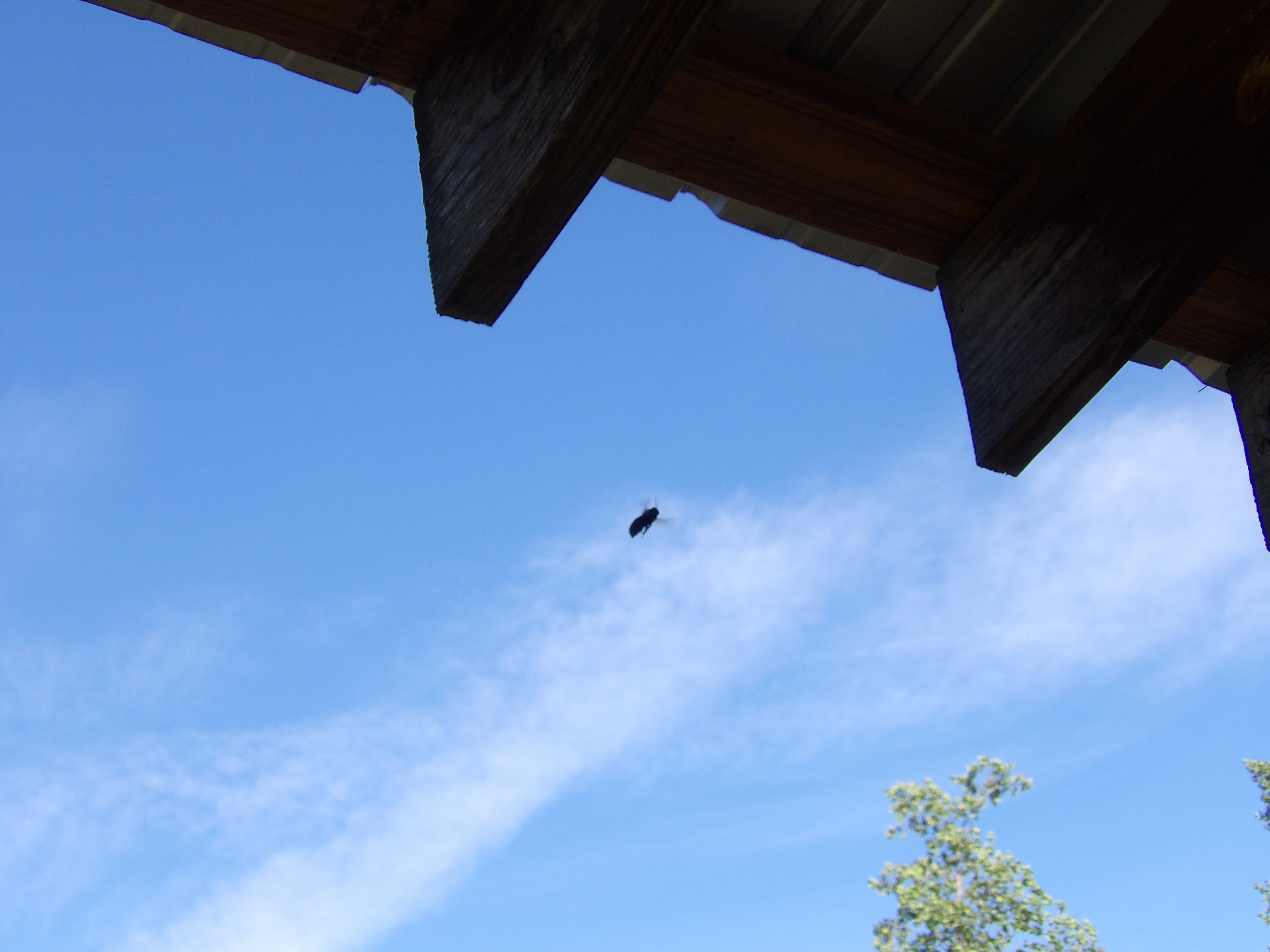100_0172.JPG
