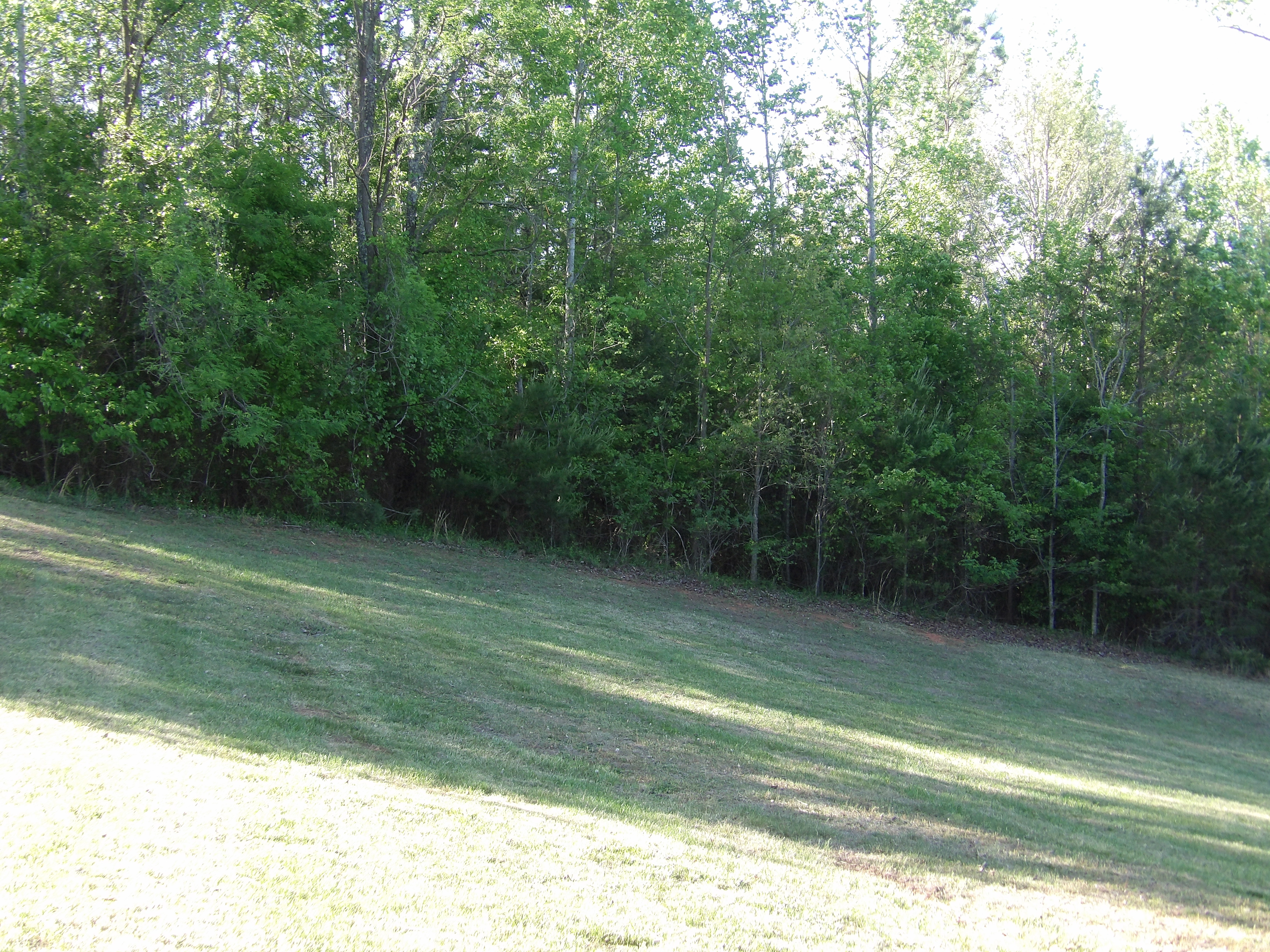 100_0175.JPG