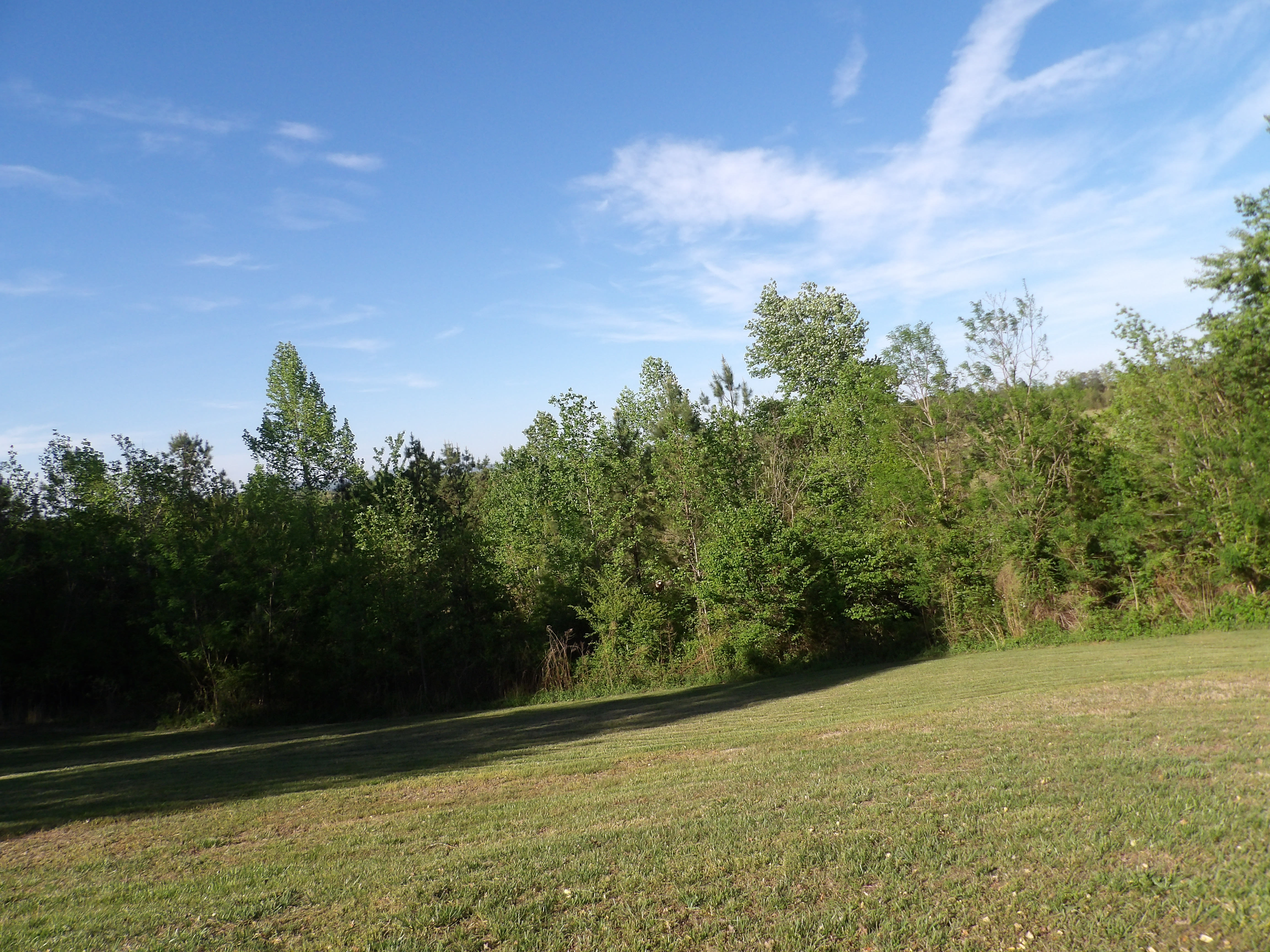 100_0183.JPG