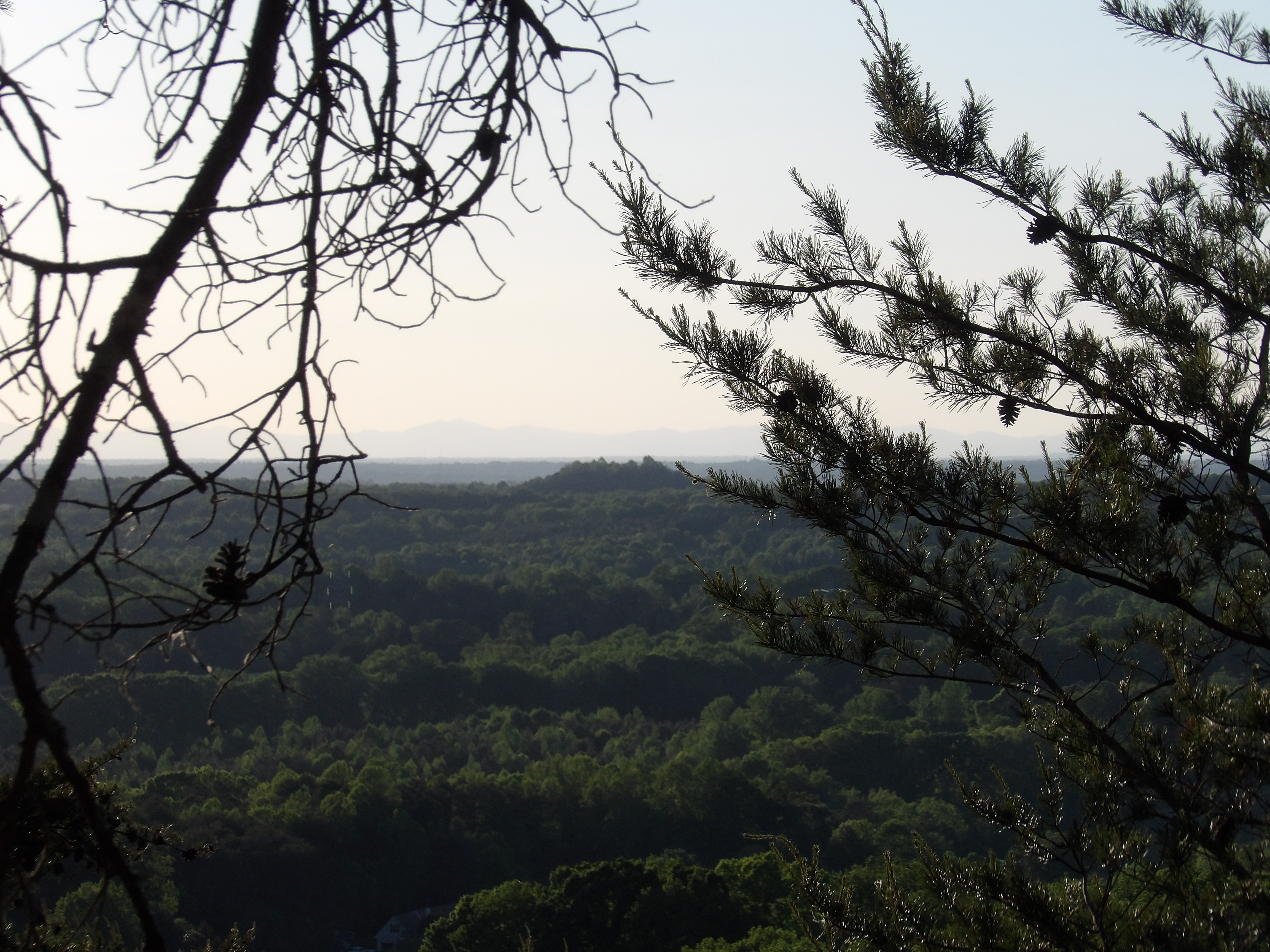 100_0214.JPG