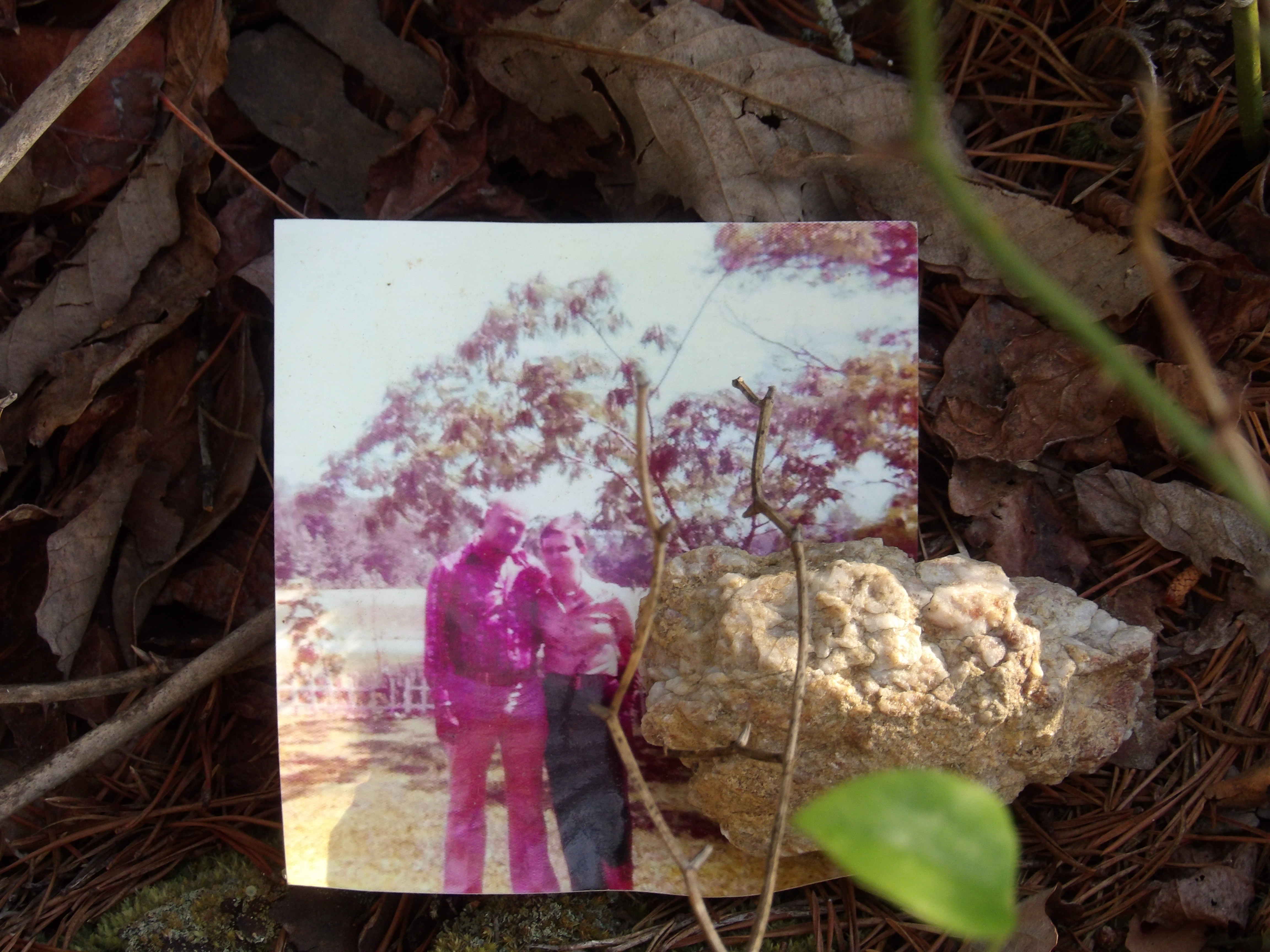 100_0215.JPG