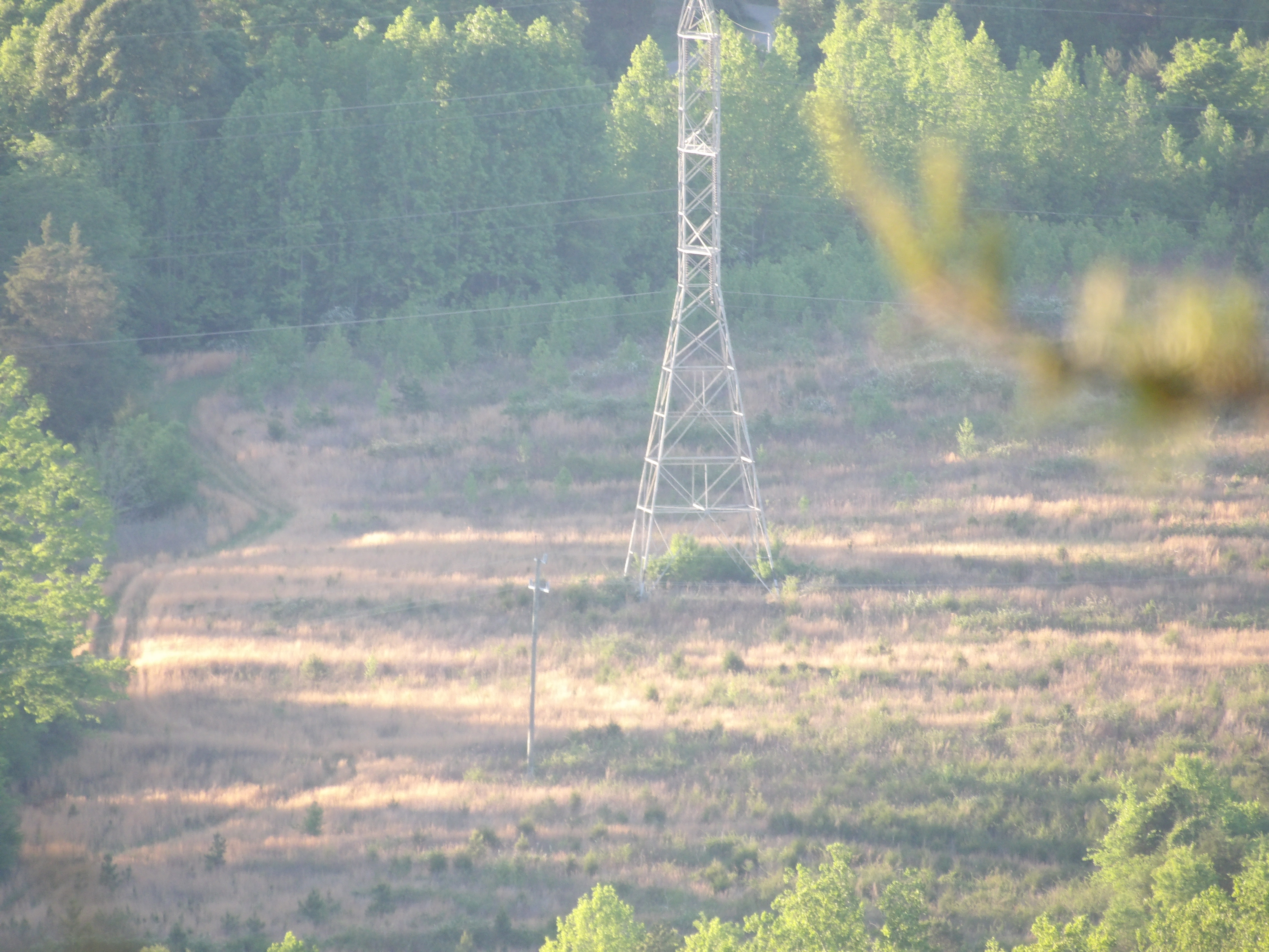 100_0221.JPG
