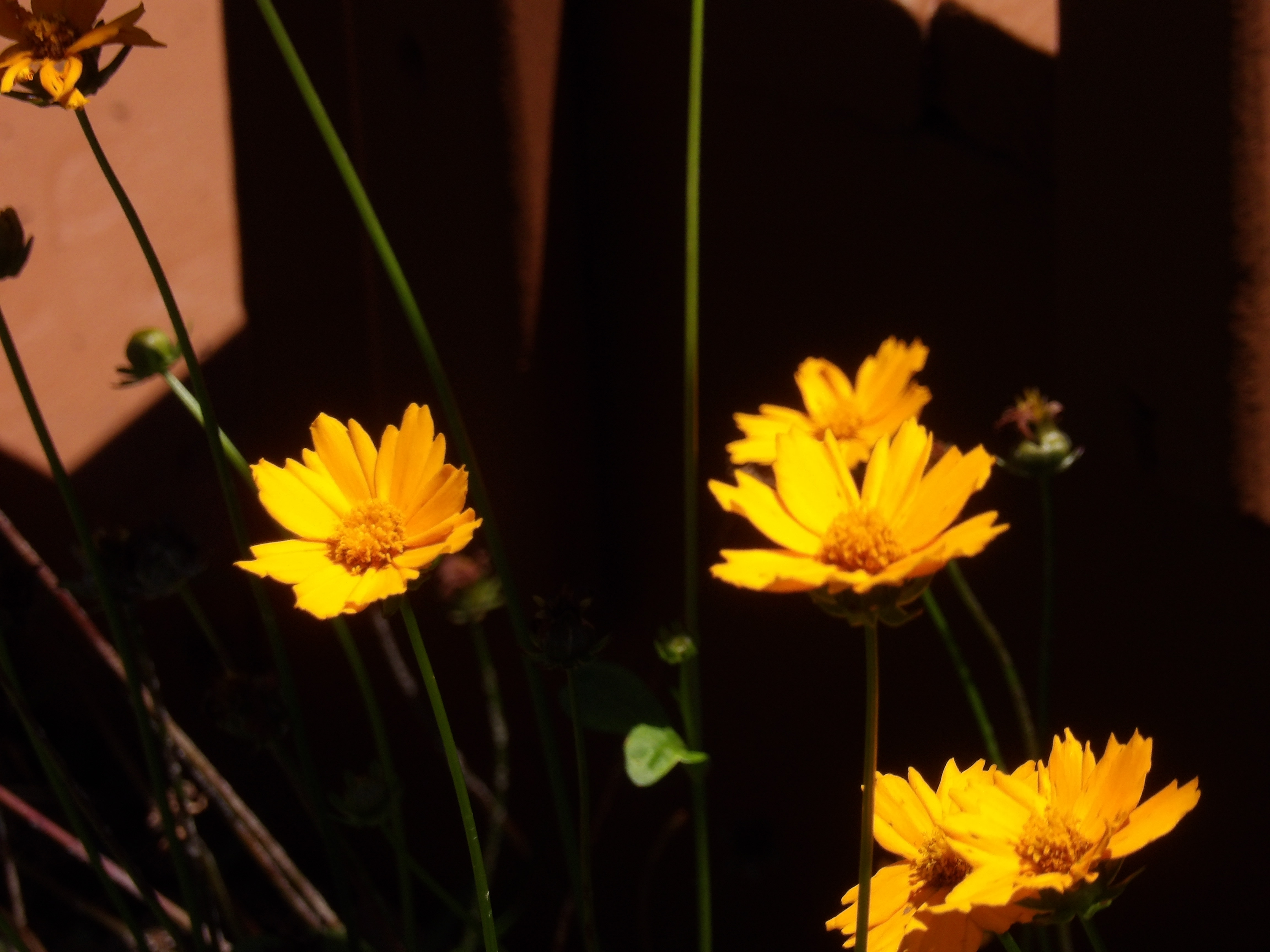 100_0268.JPG