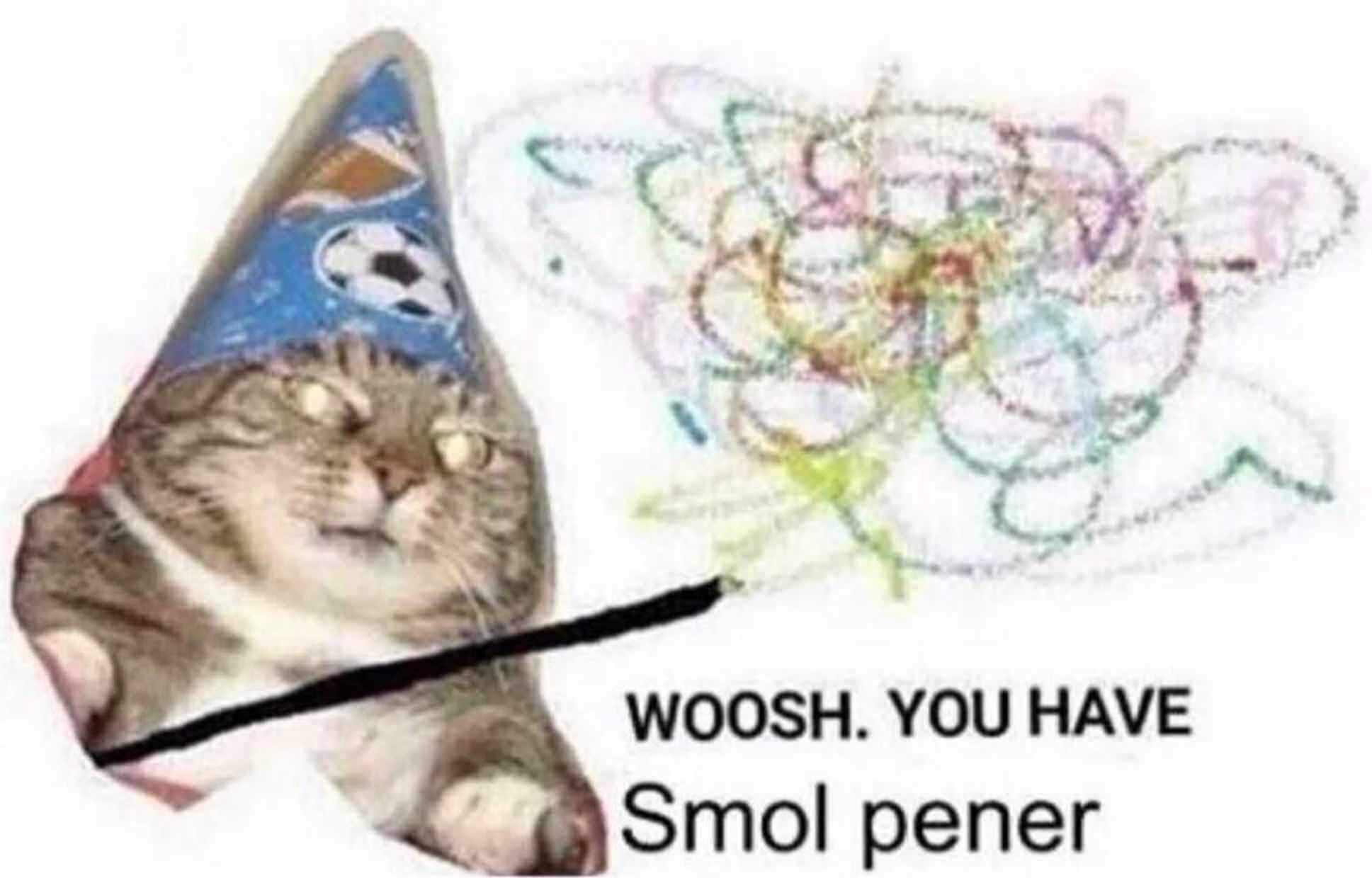 1614226145651.jpg