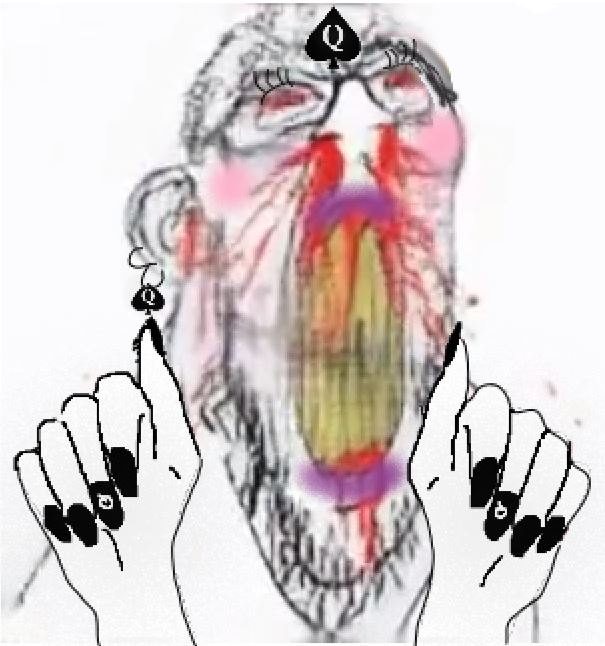 1773261265682.png
