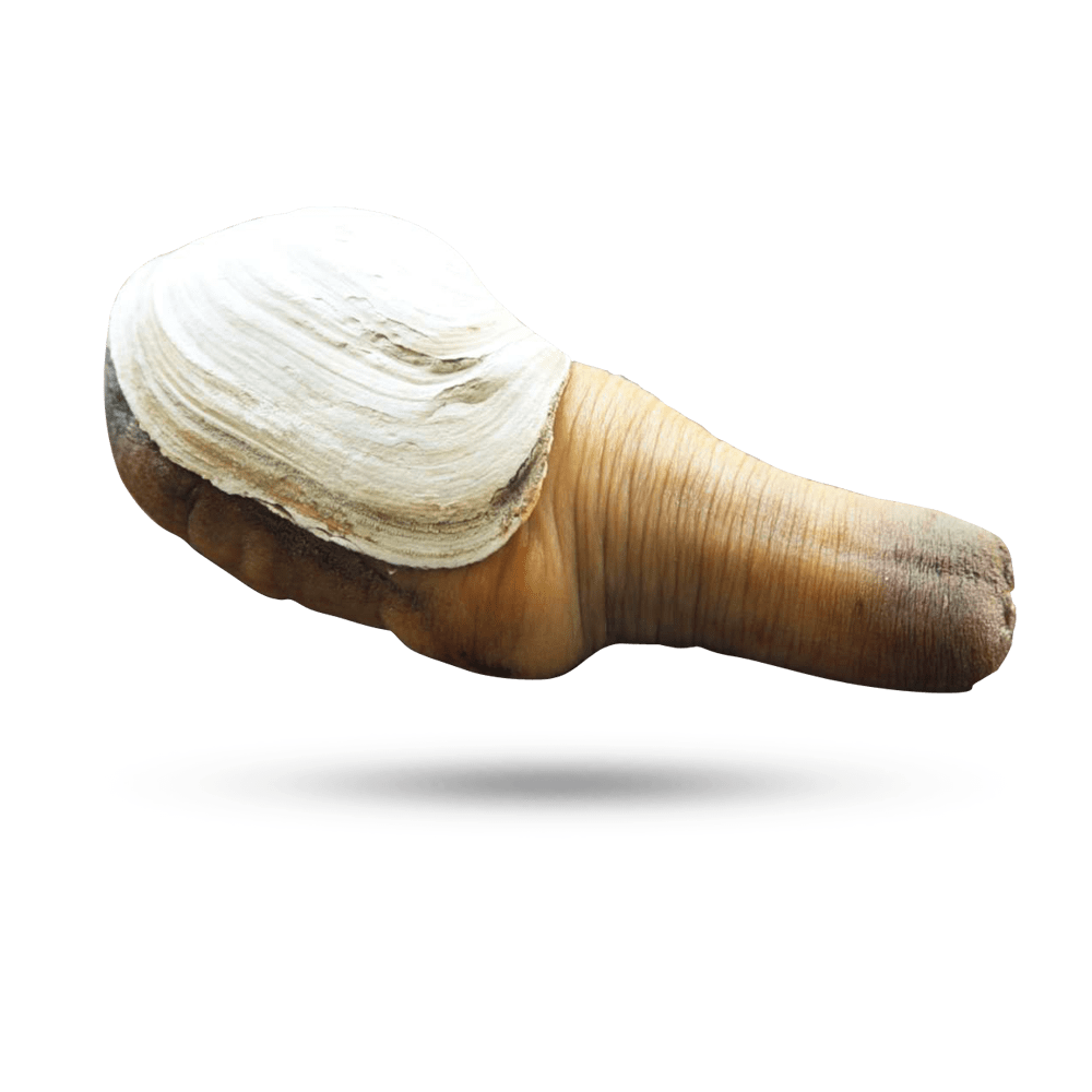 20240407_120216.png
