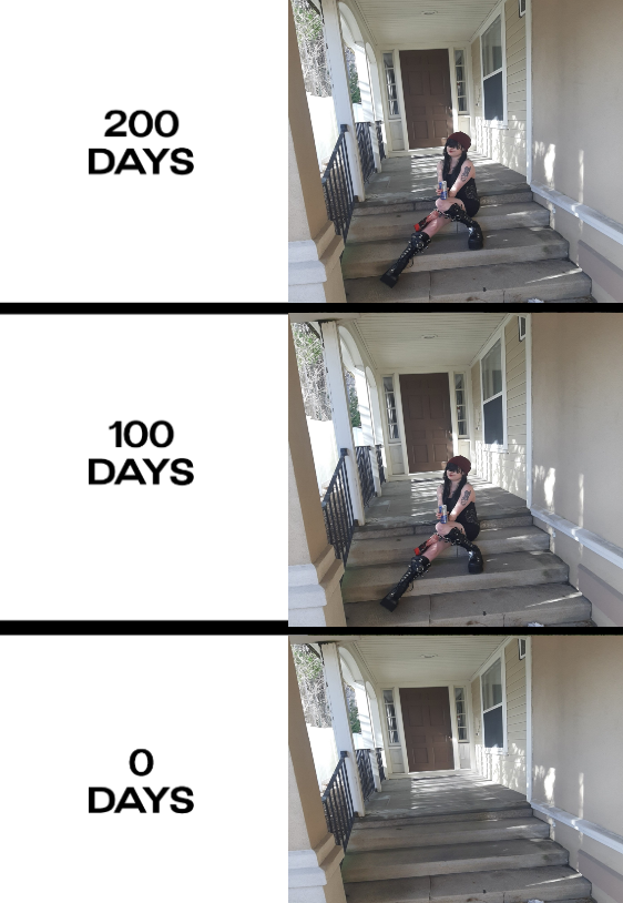 300 days.PNG.png