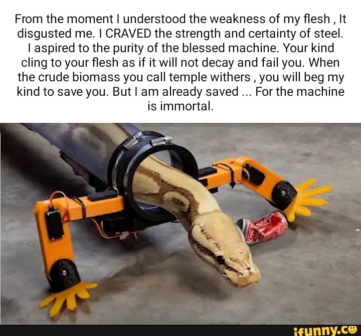 5110c6310cfe3cf9cf29c290394f876f775f3dca671a4aca777c8cd043872256_1.jpg