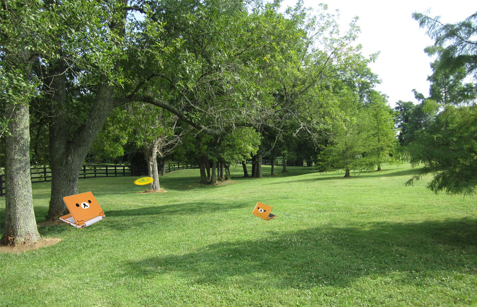 bear-computer-at-the-park-with-his-son.jpg