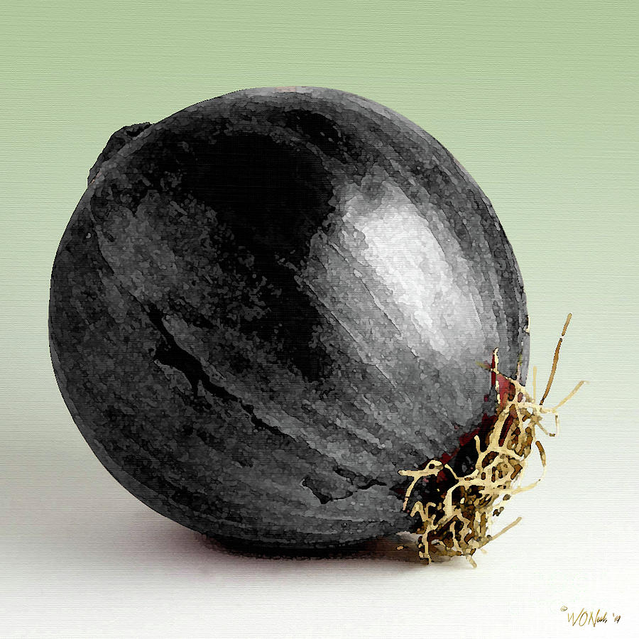 black-onion-walter-oliver-neal.jpg