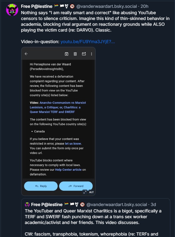 CharliticsFlaggedVanderWaardsVideo.jpg