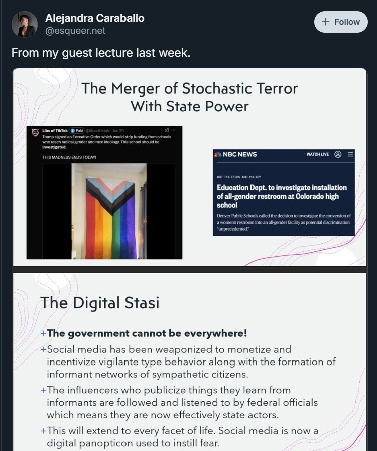 EsqueerTheDigitalStasi.jpg