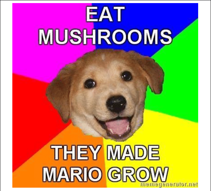 Example-of-an-Advice-Dog-image-macro-the-meme-which-spawned-a-larger-category-of-meme.png