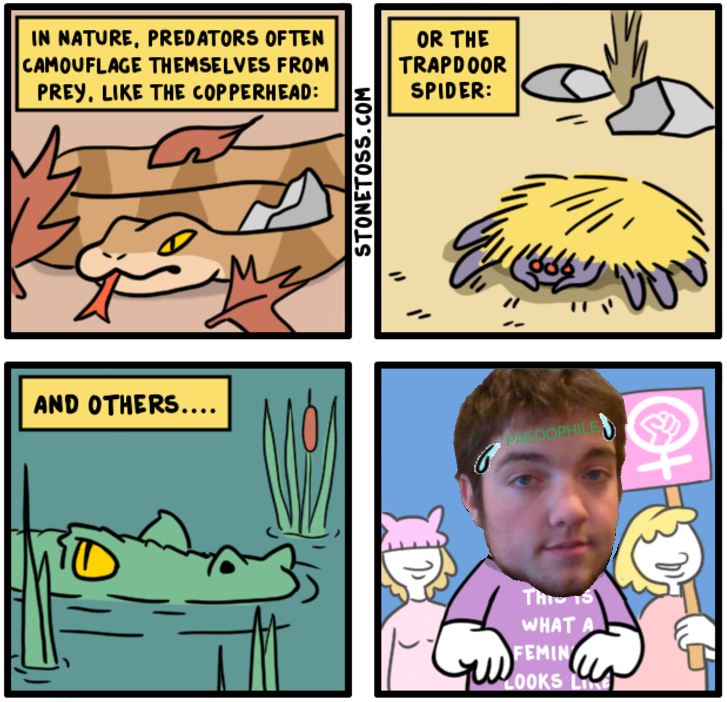 feminist_josh-1.png