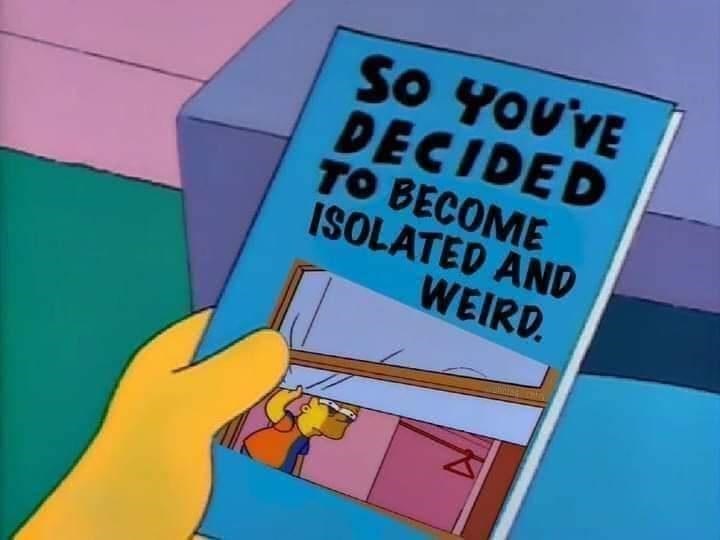 funny-memes-funny-memes-relatable-simpsons-memes-so-youve-decided-to-become-isolated-and-weird.jpeg