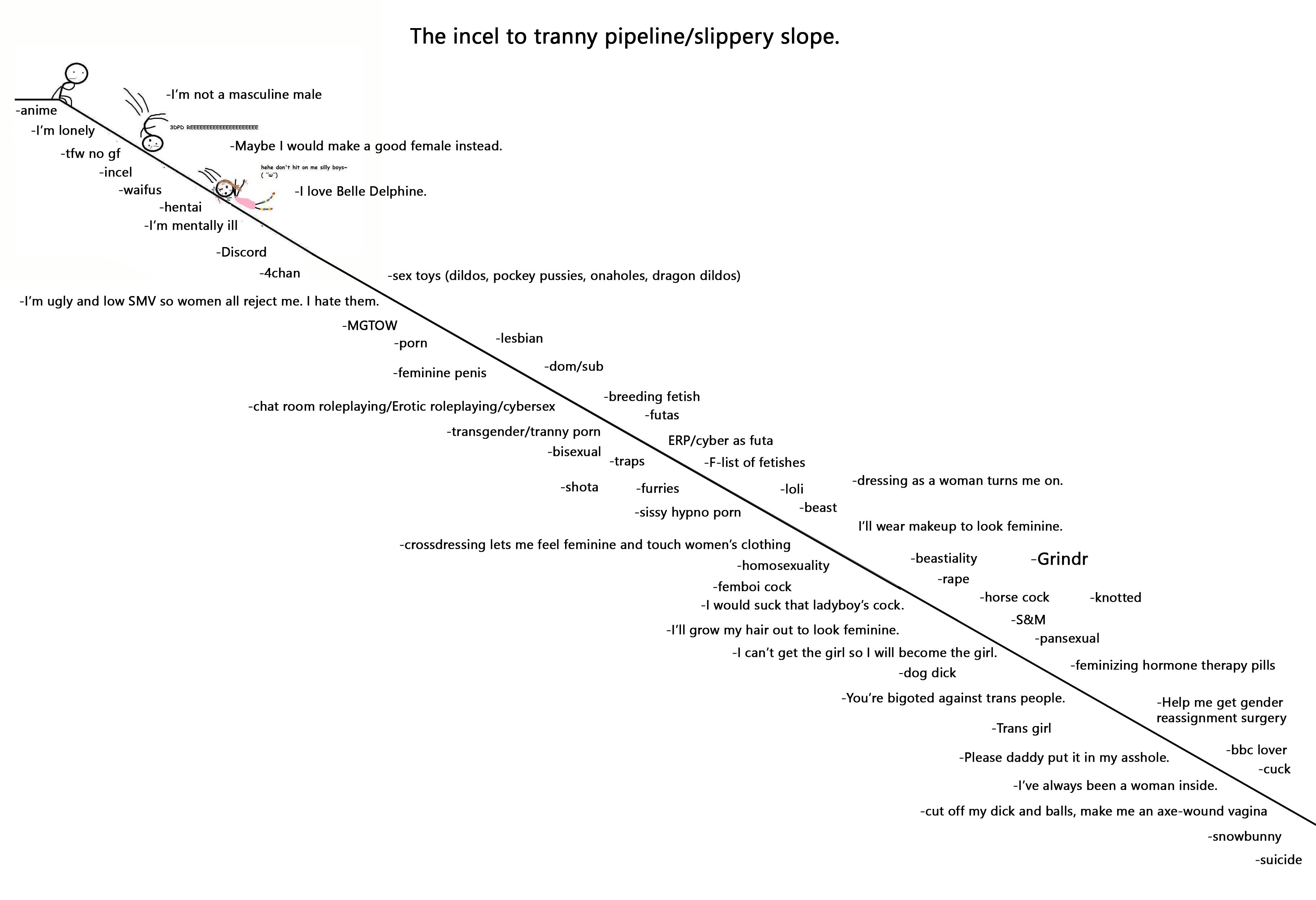incel to tranny pipeline.jpg