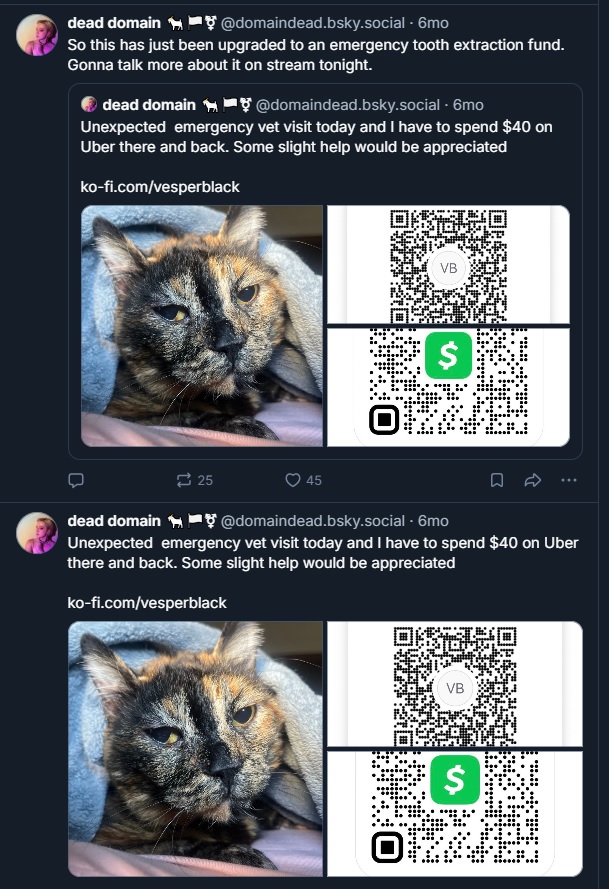 JordanCantPay2TakeMissKitty2Vet.jpg