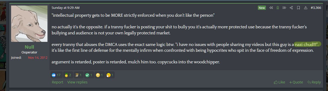 Josh 1.jpg
