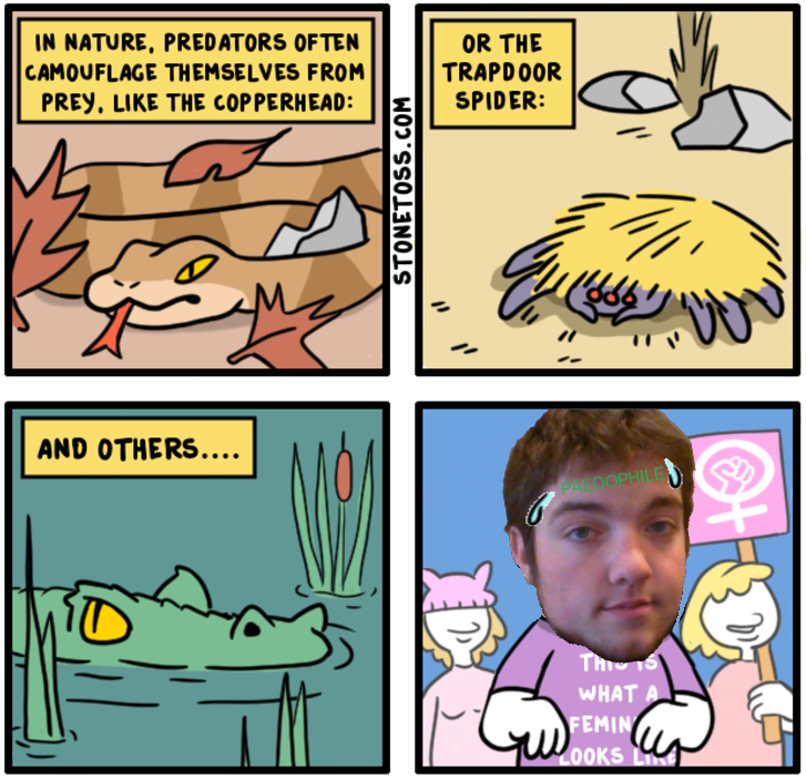 josh the feminist.png