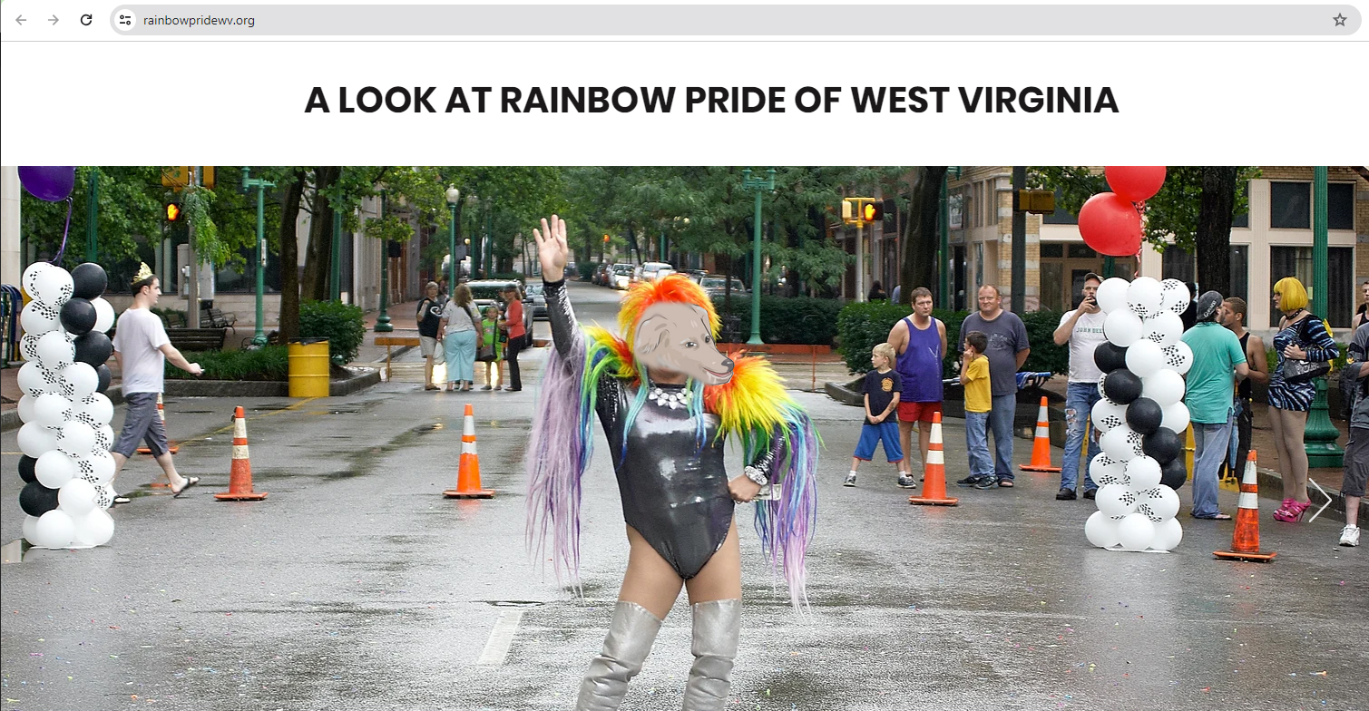 Null Rainbow Pride WV.jpg