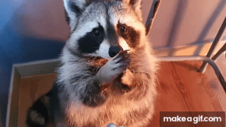v9H6lr.gif