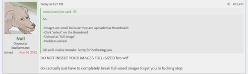 null 1.png