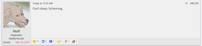 null 13.png