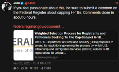 null 2.png