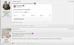 null 1.png