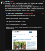 belgia.png