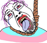 1770295270159.png