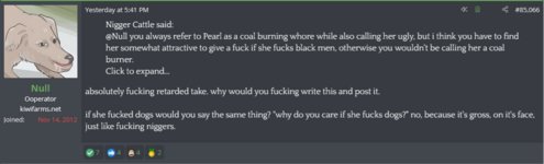 nullfucksdogs.png
