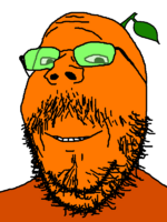 1775012518892.png