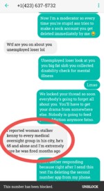 Ashley on a crusade.png