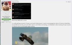 tes (1).png