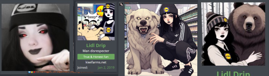 Lidl Drip was the visual archetype of a goth alternative emo clown girl.png