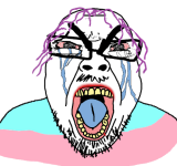 IMG_6997.png