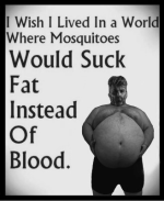 1785737104377.png
