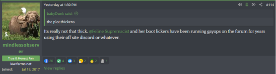gayops.png