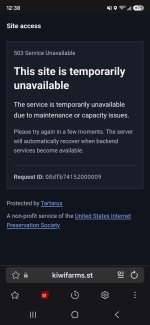 Screenshot_20260929_003805_Samsung Browser.jpg