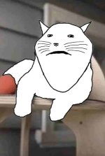 305579 - soybooru.com - 1soyjak animal black_eyes cat cat_ears closed_mouth ears front_view fu...jpg