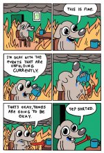 this is fine.jpeg