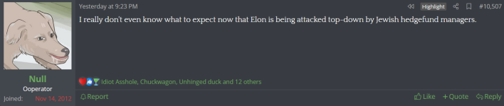 null loves elon.png